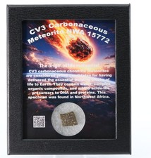 Meteorite "Origin of Life" Carbonaceous NWA 15772 CV3 NW Africa Morocco COA 7437 picture