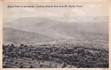 Mt. Gayler Tower Arkansas AR Scenic View Ozarks Postcard A15 picture