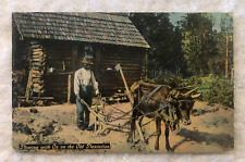 Post Card Moving With Ox Old Plantation, Posted Tampa FL, 1911 picture