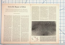 Inducible Repair of DNA Article 1970s Molecular Biology Ephemera picture