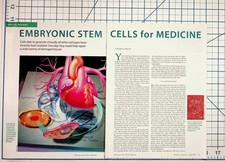 Vintage 1999 Scientific American Embryonic Stem Cells Medicine Article picture
