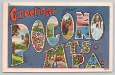 Pocono Mountains Pennsylvania, Large Letter Greetings, Vintage Postcard picture