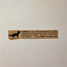 Ferrets In Driving Rabbits From Burrows Norwalk OH 1906 Minneapolis Ad 5AL1-S11 picture