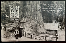 Vintage Postcard 1930's World Famous Tree House, Redwood Hwy, Piercy, CA (RPPC) picture