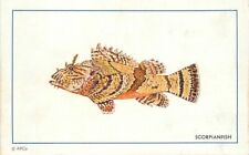 Scorpianfish Artist impression  Postcard 22-3212 picture