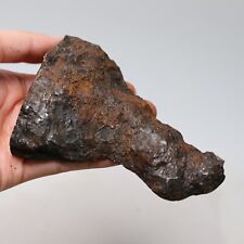 542g Muonionalusta meteorite part slice  A1829 picture