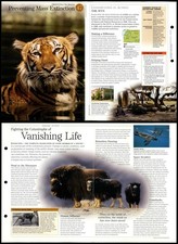 Preventing Mass Extinction #47 Save Species Discovering Wildlife Fact File Card picture
