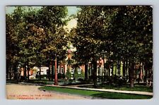 Lakewood NJ-New Jersey, The Laurel in the Pines, Antique Vintage Postcard picture