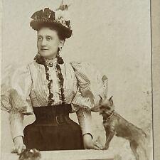 Antique CDV Photograph Beautiful Fashionable Affluent Woman Tiny Yorkie Dog picture