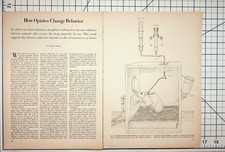 Vintage Science Article: How Opiates Change Behavior Rat Experiment Ephemera picture