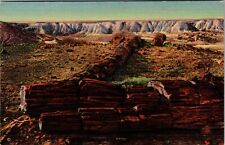 Arizona Petrified Forest Twin Sisters In Second Forest Vintage Postcard  picture