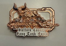 Delta SUFFOLK County DA New York GANG Task Force GTF Police Challenge Coin picture
