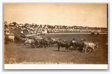 RPPC ~ Dewey OK ~ Rodeo Roundup 5th annul roping contest ~ Oklahoma cowboy picture