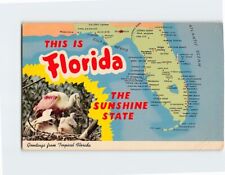 Postcard Greetings from Tropical Florida USA picture