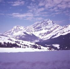 1970 Swiss Mountains Switzerland Alps Tree Line Snow #2 70s Vintage 126 Slide picture
