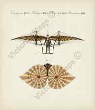 Degen's Flying machine ornithopter early aviation Bertush 1807 art print poster picture