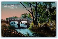 Minneapolis Minnesota Postcard Scene Along Minnehaha Creek c1910 Vintage Antique picture