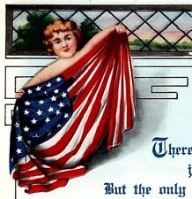 c1910 PATRIOTIC FLAGS RED WHITE & BLUE WHITNEY MADE EMBOSSED POSTCARD 26-230 picture