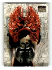 1995 Skybox Creators Edition Master Series 35 Placebo-Head BXCP11 picture