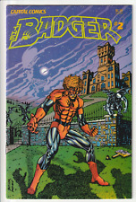 The Badger (1983-1991) | Capital Comics/First Comics | Lot of 22 picture