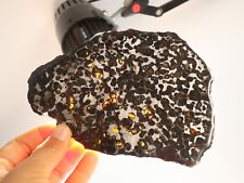 177g Slice meteorites, Rare slices of Kenyan Pallasite olive meteorite B2863 picture