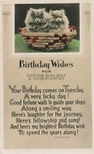 BIRTHDAY - Two Cats Birthday Wishes On Tuesday Art Deco Tuck Postcard - 1937 picture