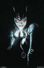DC Comics - Catwoman - Portrait Poster picture