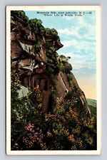 Asheville NC-North Carolina, Mountain Side, Antique Vintage Souvenir Postcard picture