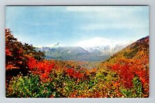 White Mountain NH-New Hampshire, Mt Washington Fall Tree Vintage Postcard picture