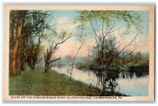 c1920s Conocoheague River Wilson College Chambersburg PA Unposted Trees Postcard picture