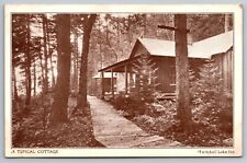 Typical Cottage. Twitchell Lake Inn. Big Moose New York Vintage Postcard picture