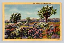 Postcard Desert Joshua Palm Trees California CA, Vintage Linen K2 picture