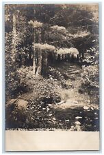 c1910's Turtle Brook Forest Monterey Massachusetts MA Photo Unposted Postcard picture