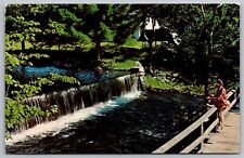 Greetings Sidney New York Waterfall River Fishing Bridge Vintage PM WOB Postcard picture