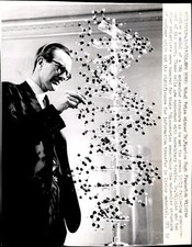 LG84 1962 UPI Wire Photo NOBEL PRIZE DR MAURICE WILKINS DNA MOLECULAR STRUCTURE picture