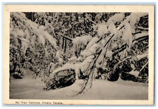 1948 Ski Trail Cochrane Ontario Canada Vintage Posted Winter Scene Postcard picture