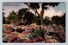 California, CA-California, A Flower Garden Antique, Vintage Souvenir Postcard picture