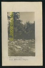 Rppc Silver Creek Near Silverton Or Oregon Marion County Ne Of Salem 1909 picture