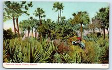 Postcard Seminole Indian Hunter, Florida udb H172 picture