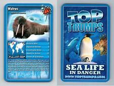 Walrus  - Sea Life In Danger 2008 Top Trumps Card picture