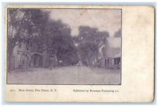 1908 Main Street Pine Plains New York NY Bowman Publishing Co. Postcard picture