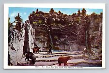 Denver CO-Colorado, New Bear Pit, City Park Zoo, Antique, Vintage Postcard picture