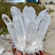 285G New Find white PhantomQuartz Crystal Cluster MineralSpecimen picture