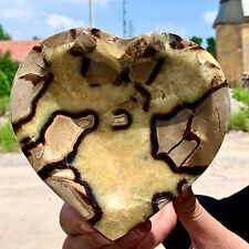 2.6LB Natural beautiful Dragon Septarian heart-shaped Quartz Crystal Healing picture