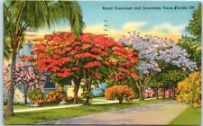 Postcard - Royal Poinciana and Jacaranda Trees, Florida picture