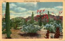 Desert Landscape, Cactus, Arizona AZ 1945 linen Postcard picture