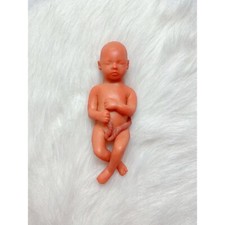 15 Weeks Baby Fetus, Stage of Fetal Development (Memorial/Miscarriage/Keepsake) picture