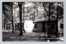 Gaylord MI-Michigan RPPC Weed's Cabins Idylwood Otsego Lake 1950 Old Postcard picture