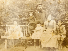 Photo album. Near St. Petersburg. 1891 picture