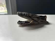Anaconda Head Real From Peruvian Jungle picture